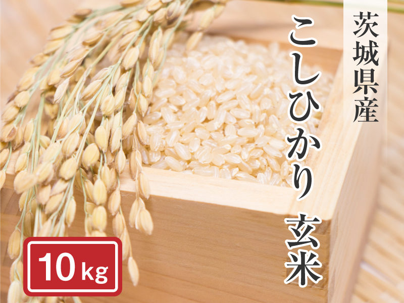 レオパードフラワーブラック 専用 茨城県産コシヒカリ 玄米１０Kg